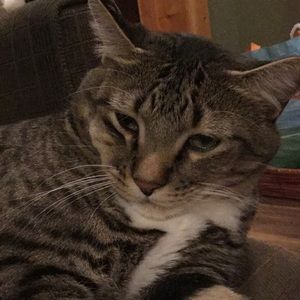 Meet your Posher, Cameron